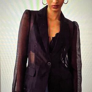 Anthropologie Dolan Left Coast Sheer Organza Blazer